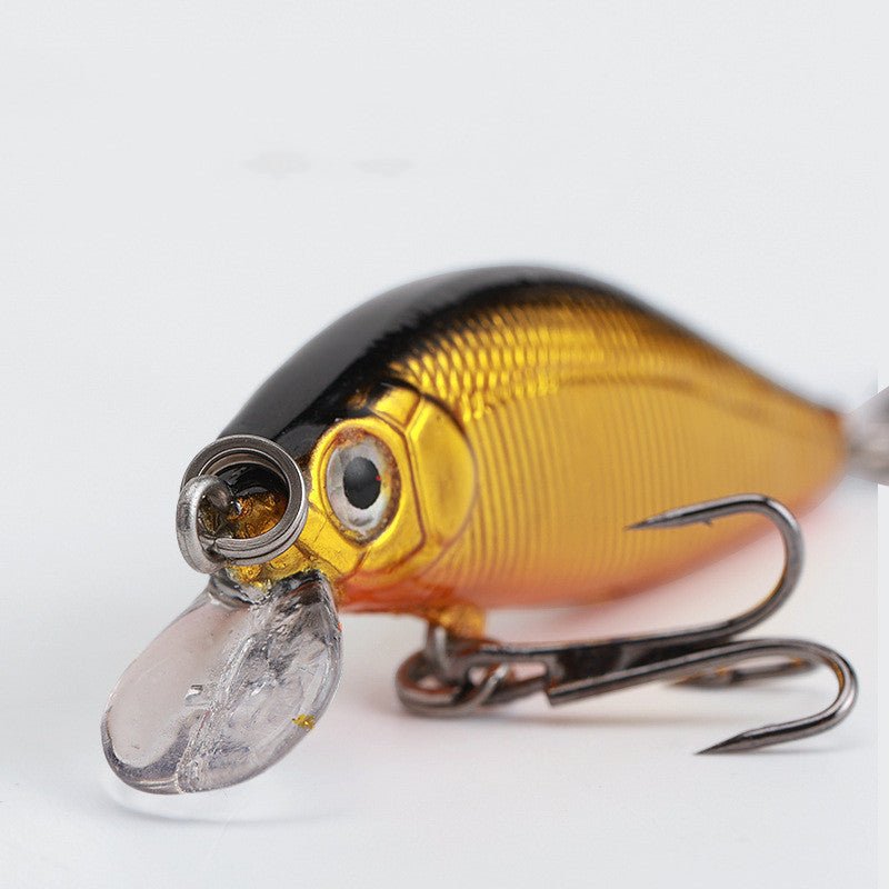 cockroach fishing lure Cockroach Bass Bait for Freshwater Fishing