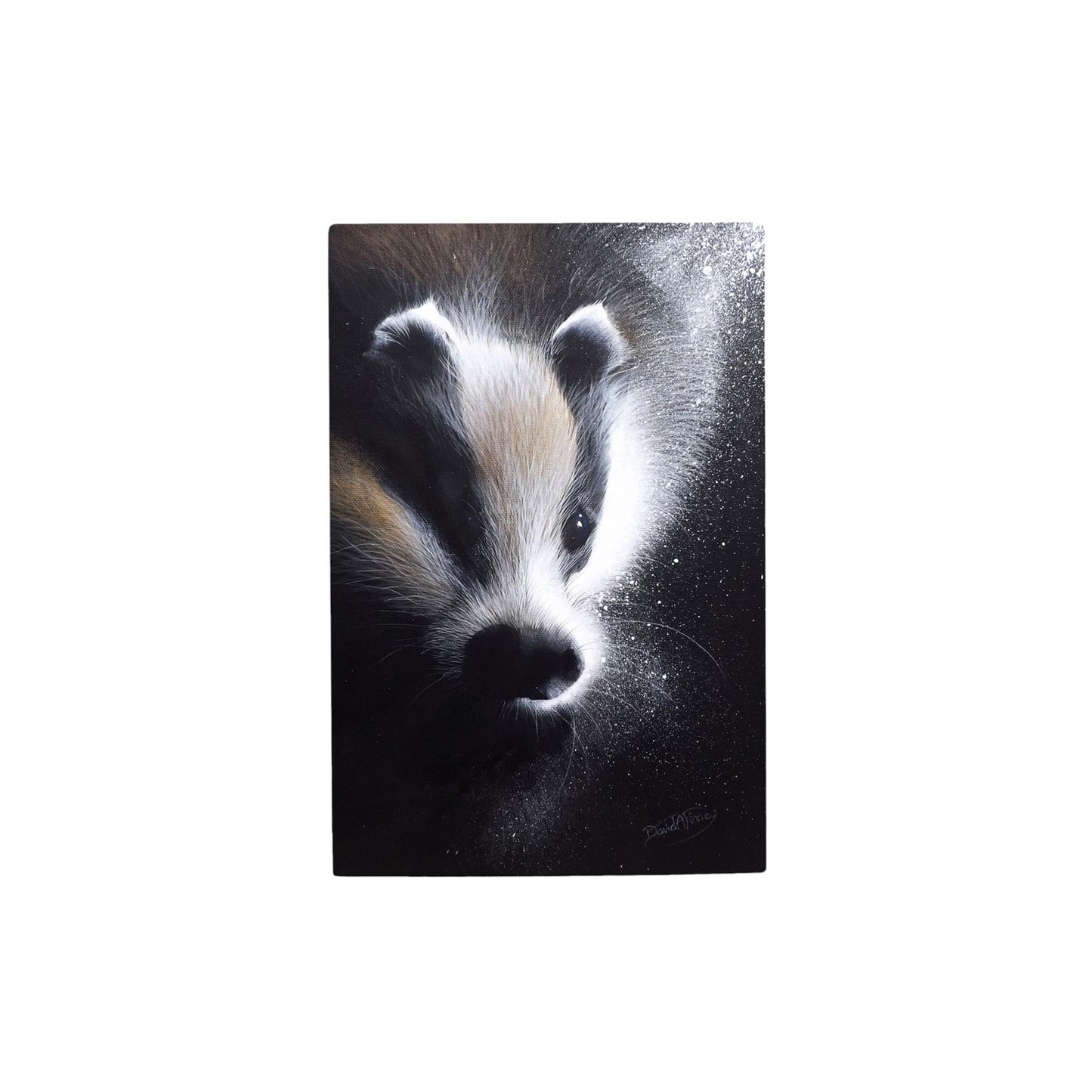 BADGER AT NIGHT Ceramic Art Tile by D. Finney – 30x20 cm Wall Hanging Decor, Nature Wildlife Art
