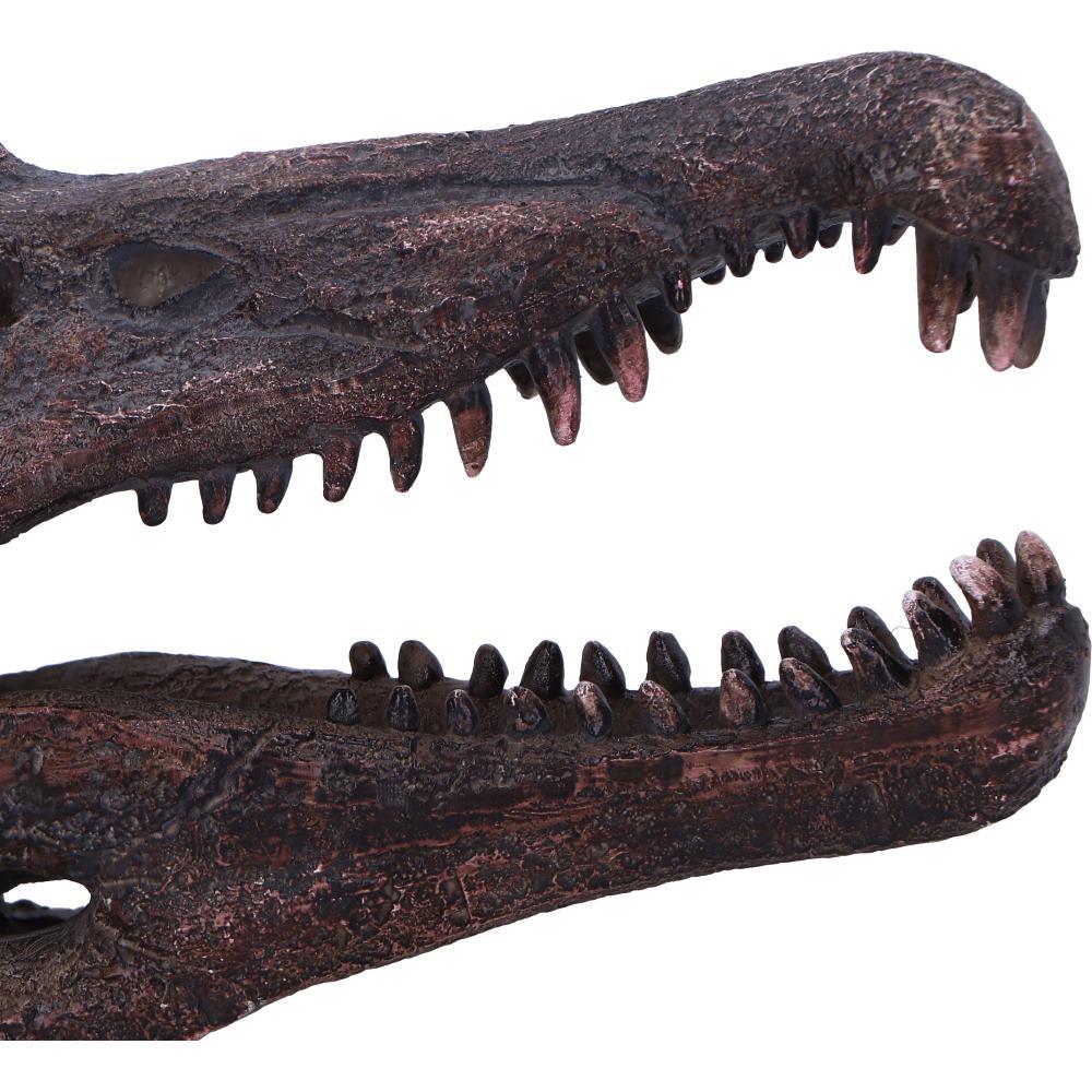 Realistic Spinosaurus Dinosaur Skull Model Replica Skeleton Sculpture Home Gift
