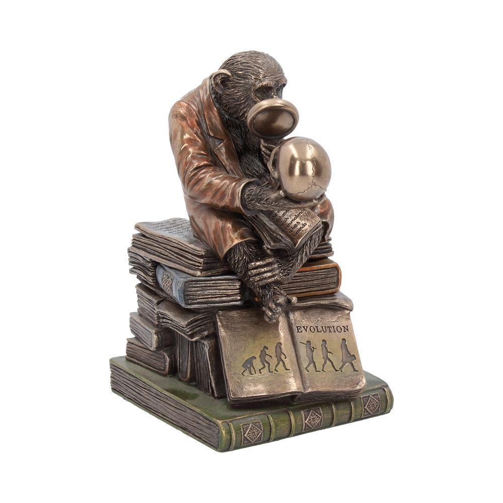 Evolution Theory Chimp Ornament Darwin Scholar Statue Bronze Scientific Display