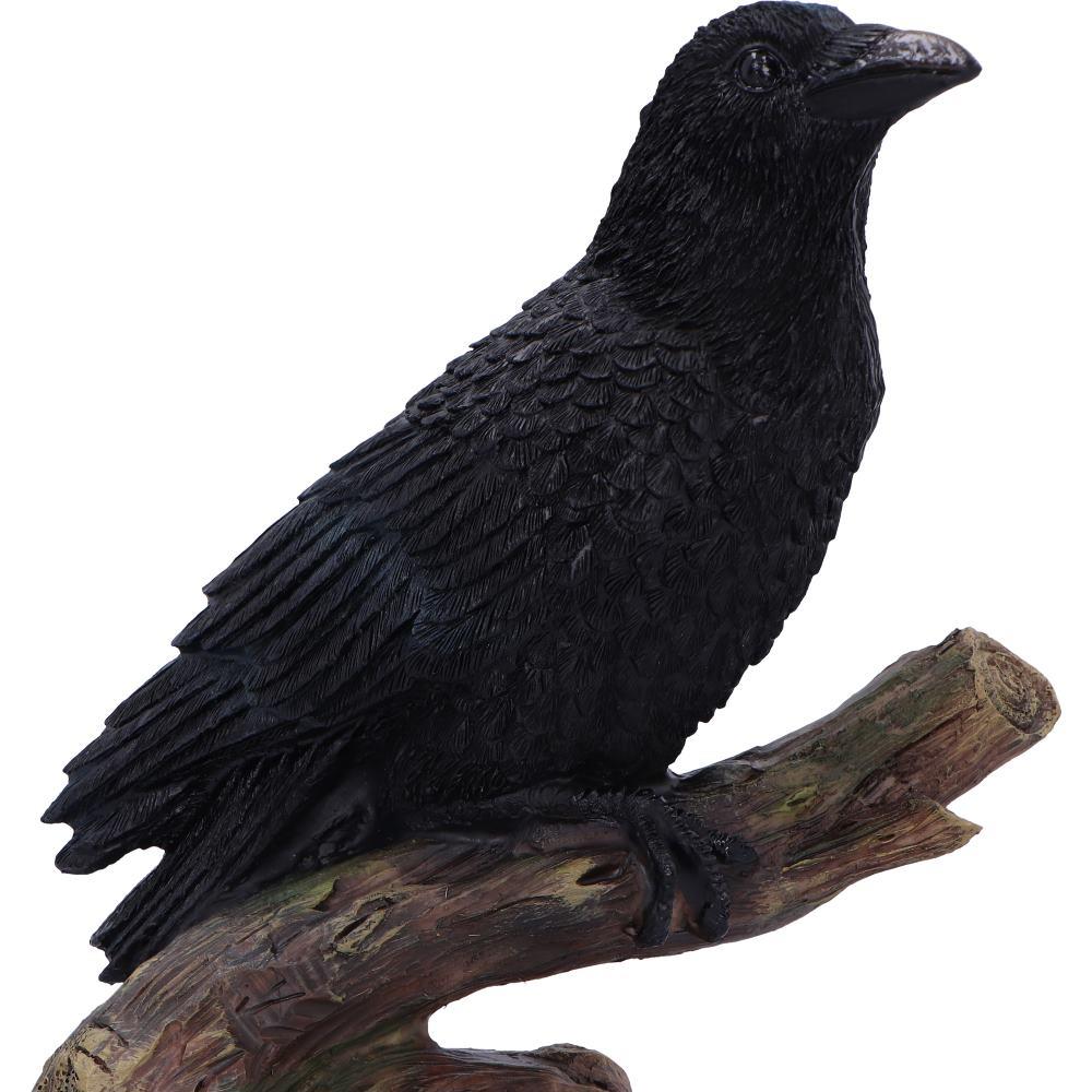 Raven Perched Gothic Figurine Witchy Wildlife Decor Mythical Bird Wiccan Statue