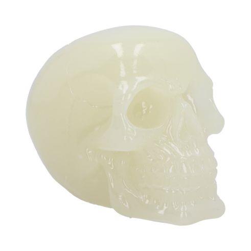 Glow-in-the-Dark Resin Skull - Luminous Gothic Decor, Unique Collectible Ornament, 13 cm