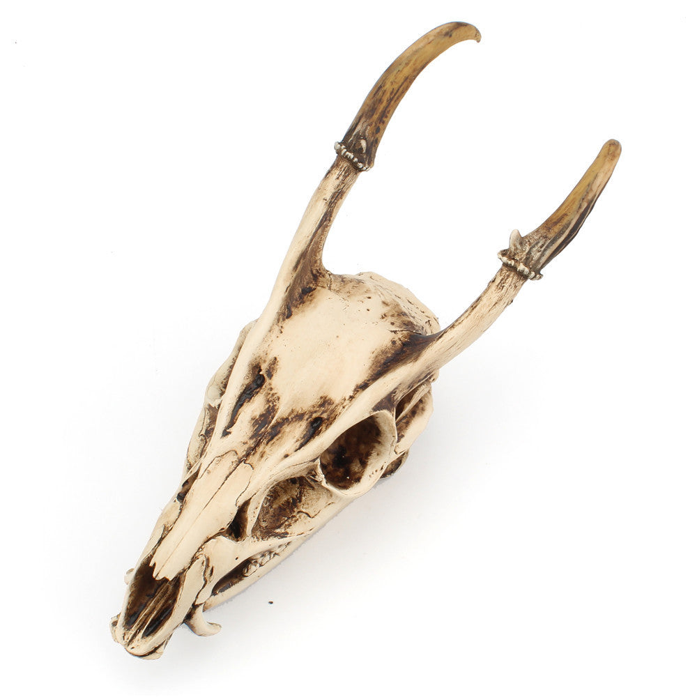 Resin Goat Skull Ornament Three-dimensional Simulation Animal Ornament