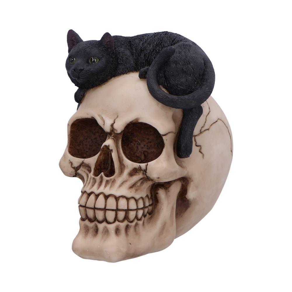 Forever Friend Black Cat and Skull Figurine – 14.5cm Gothic Decorative Ornament