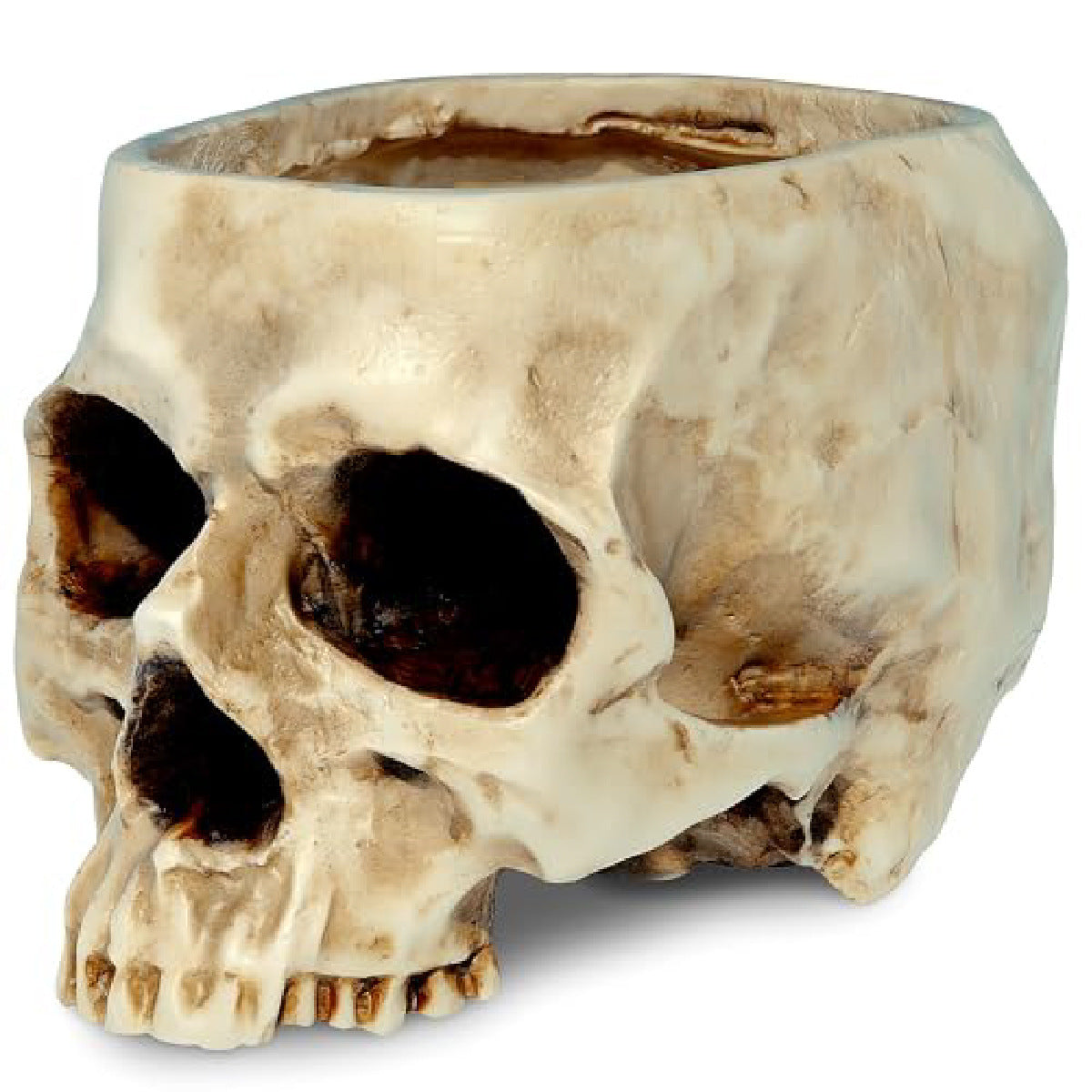 Halloween Prop Creative Resin Skull Flowerpot