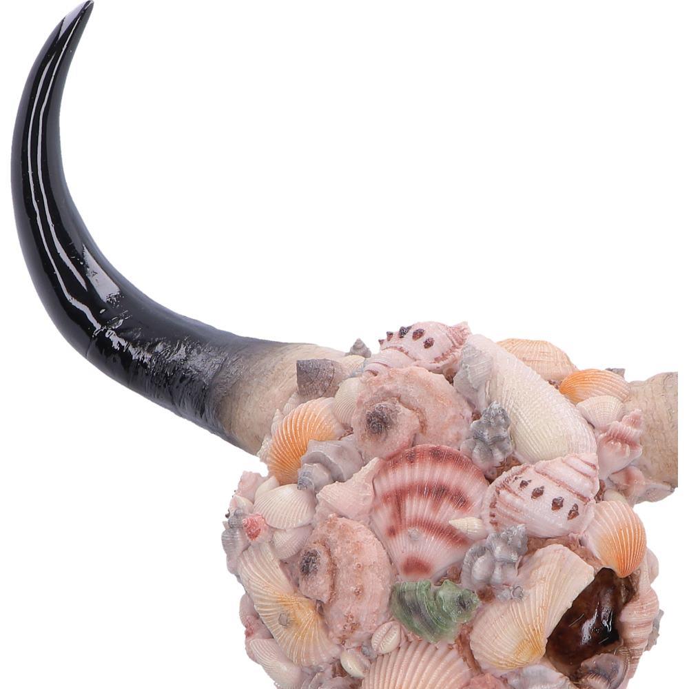 Seashell Bison Skull Ornament Coastal Gothic Decor Ocean Inspired Sculpture Art