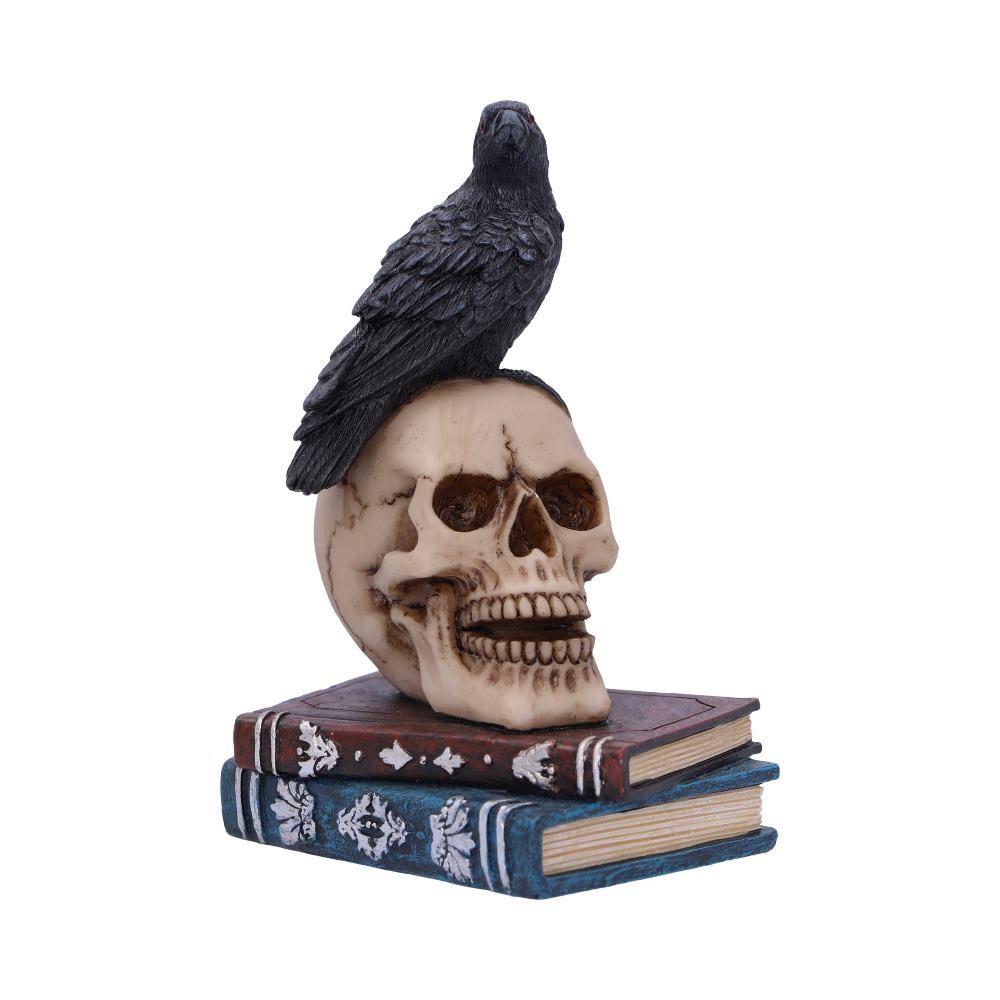 Gothic Raven perched Skull Figurine on Spell books Fantasy Occult Witchcraft Decor