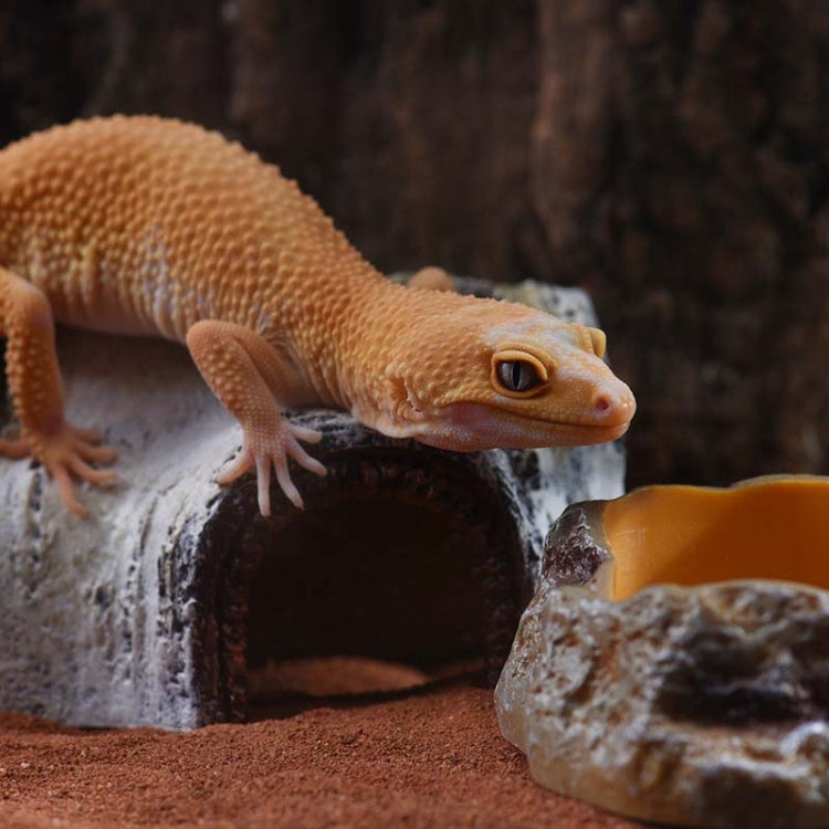 Aquarium Birch Shape Hiding House Reptiles Lizards Aquascape, S, M, L