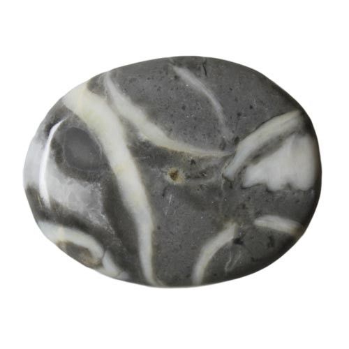 Scheibensteine -100g Muscheljaspis 100g