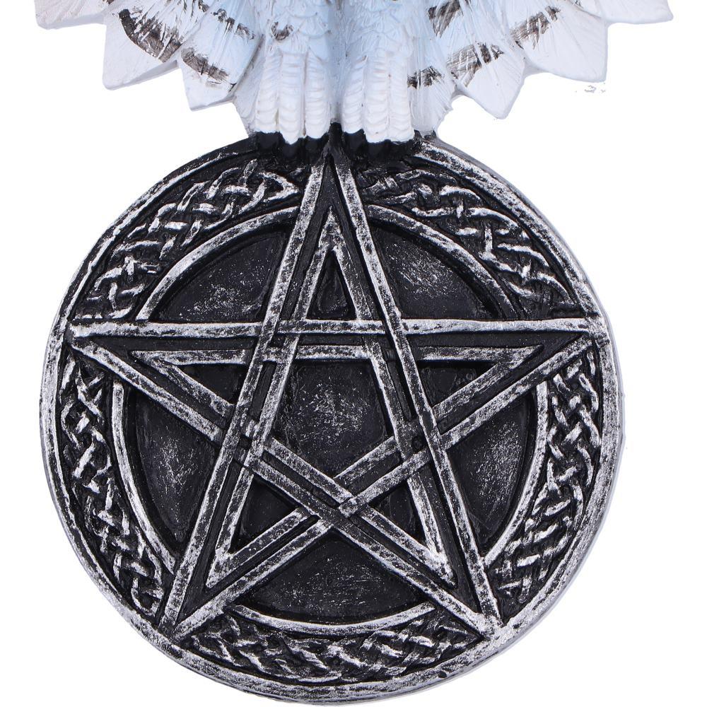 Mystical Snowy Owl Hanging Pagan Pentacle Talisman Wiccan Witchcraft Wall Art