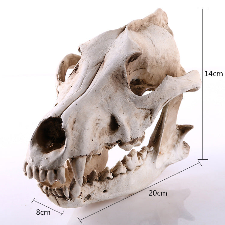 Wolf Head Fashion Resin Crafts Skull Props