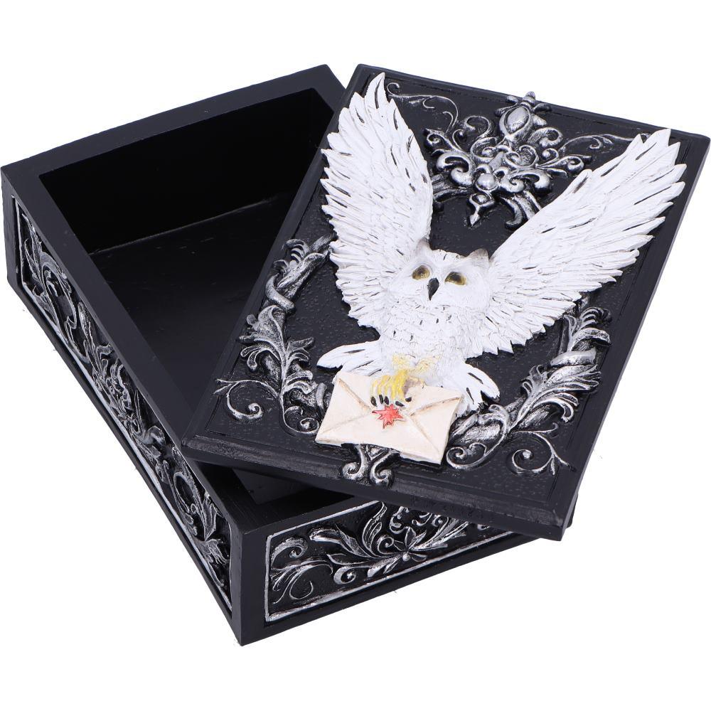 Gothic Owl Messenger Box Wiccan Witchcraft Storage Keepsake Fantasy Ornament