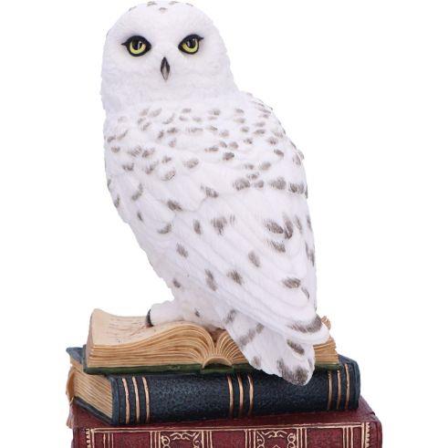 Snow Owl Statue on Stacked Books – Wizardry Gothic Decor Nemesis Now 17cm