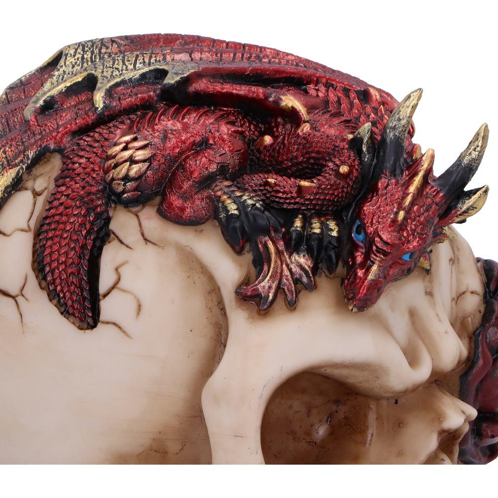 Gothic Fantasy Dragon & Skull Statue Mythical Creature Ornament Romantic Decor