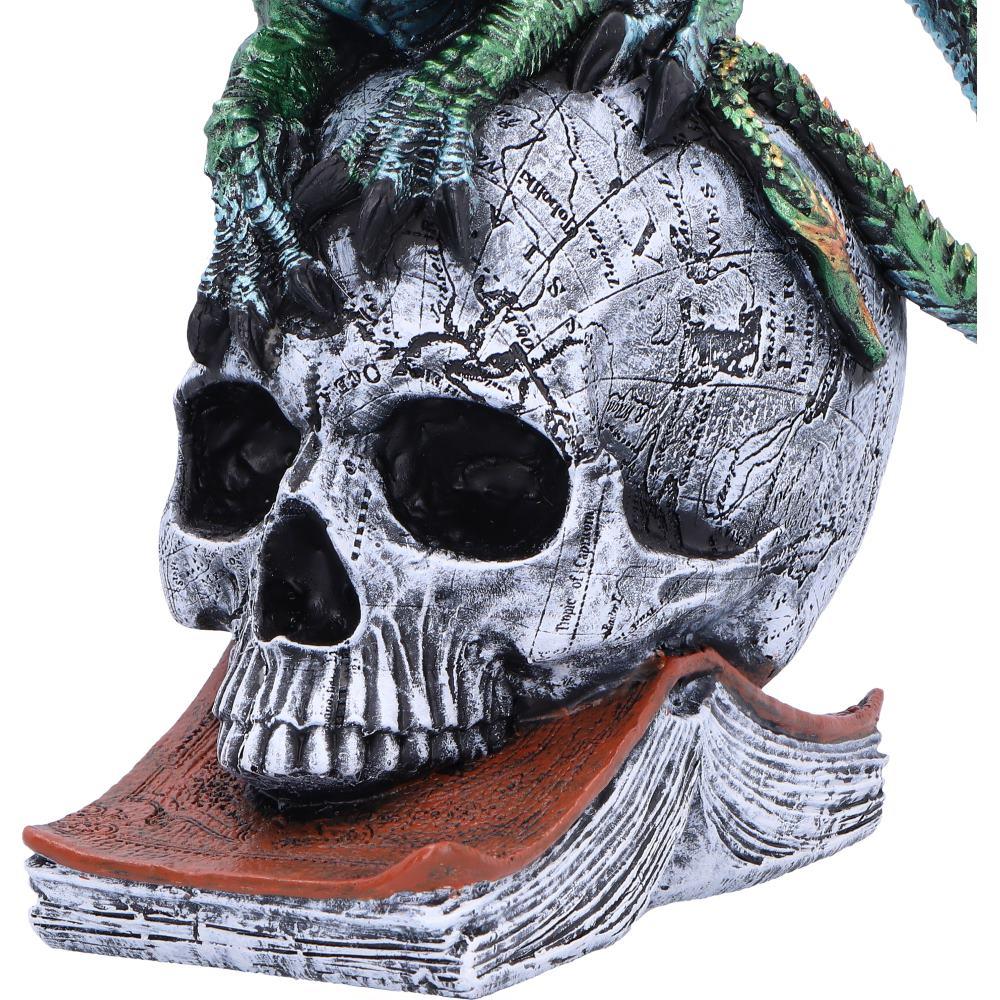 Gothic Dragon on Skull & Spell book Figurine Mythical Fantasy Ornament Art Decor