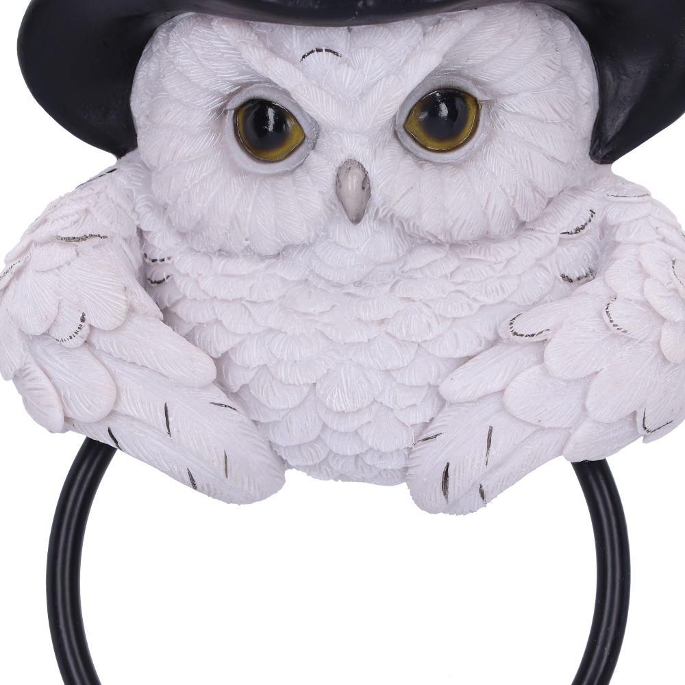 Enchanted Snowy Owl Door Knocker Witchcraft Pagan  Mystical Home Ornament