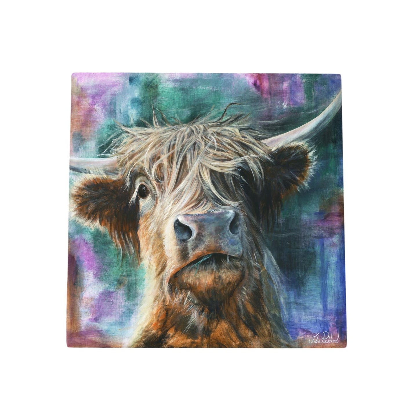 HECTOR HIGHLAND COW Ceramic Art Tile by PANKHURST GALLERY 20x20cm Ready to Hang - Boxed