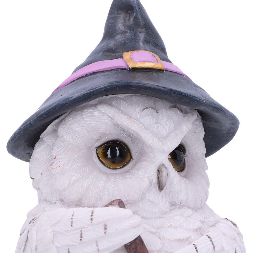 Owl Potion Figurine Witchcraft Halloween Gothic Fantasy Ornament Home Decor