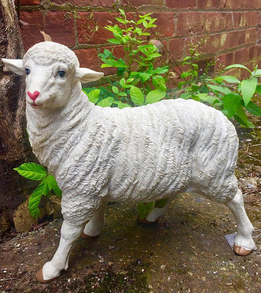 Lamb Figurine Statue Garden Ornament Farm Lawn Decoration Patio Sheep SculptureExquisite lamb figurine statue for garden or patio. Hand-painted, cold cast resin. Size: 31 X 14 X 30 cm. Ideal for indoor or outdoor decor.Osiris Craftworks