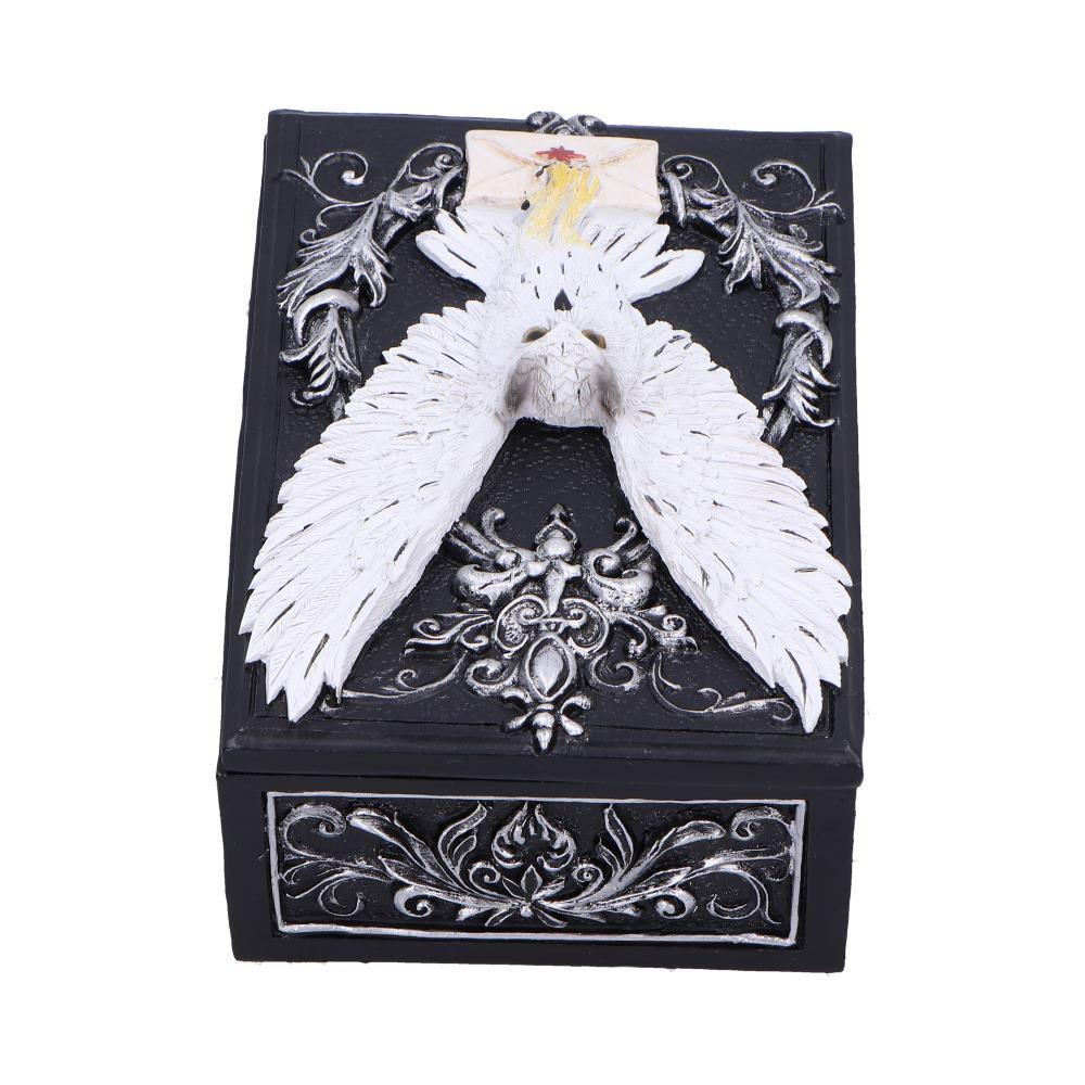 Gothic Owl Messenger Box Wiccan Witchcraft Storage Keepsake Fantasy Ornament