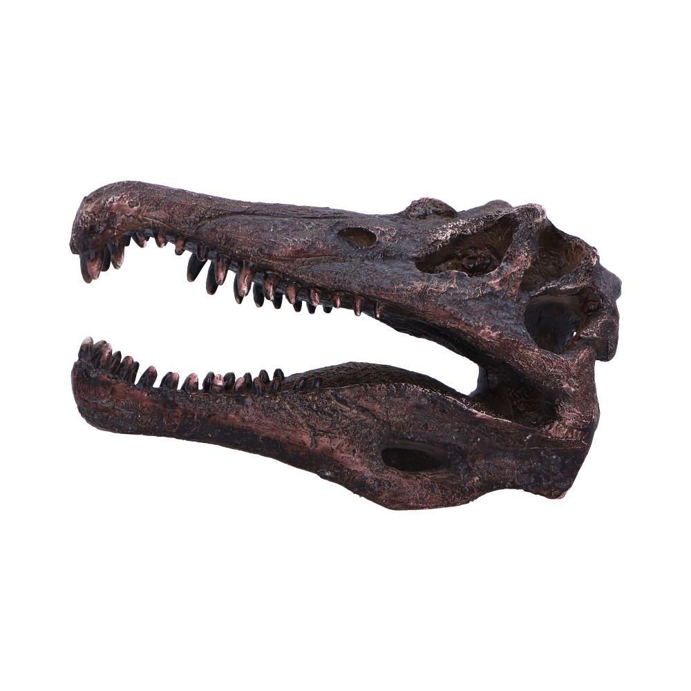 Realistic Spinosaurus Dinosaur Skull Model Replica Skeleton Sculpture Home Gift