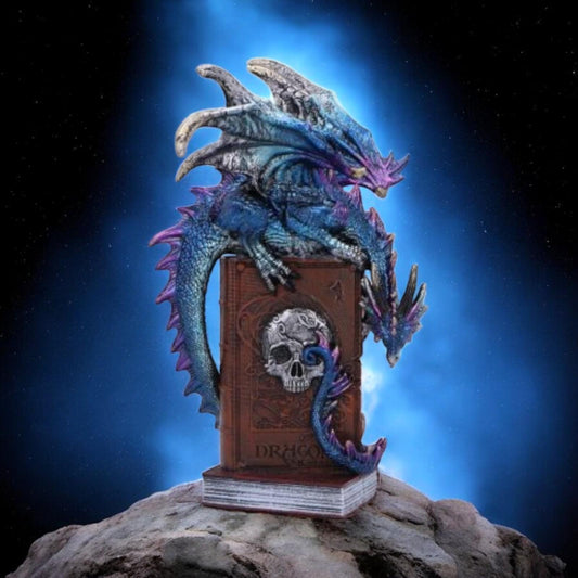 Dragon and Skull Book Figurine – Unique Gothic Fantasy Resin Ornament