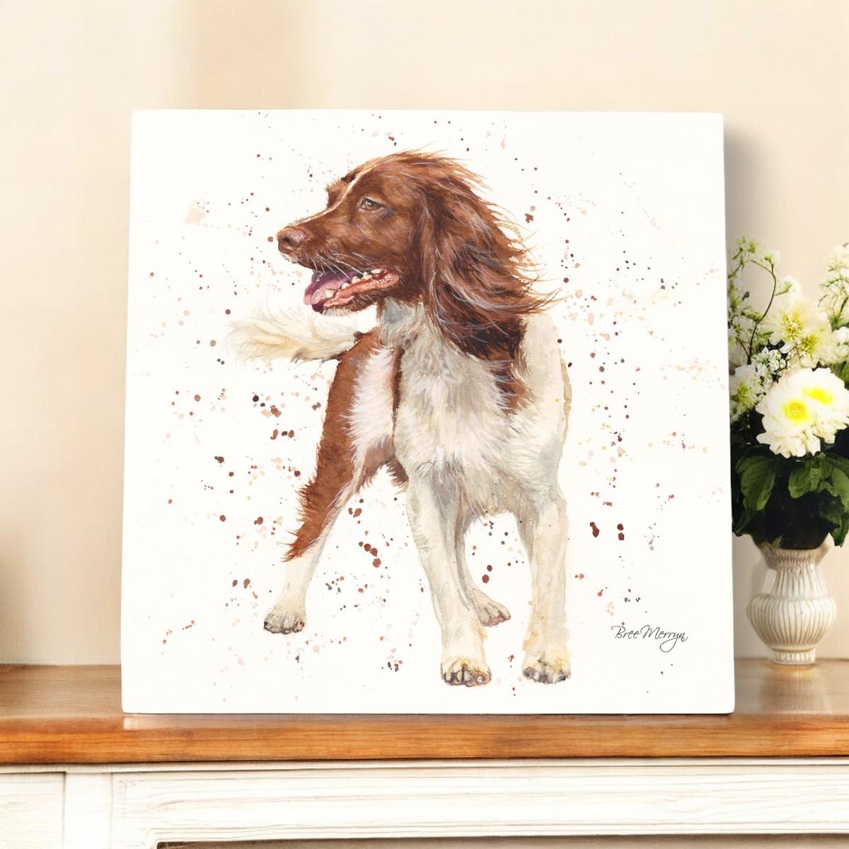 STORM SPRINGER SPANIEL Ceramic Art Tile by Bree Merryn - 20x20 cm Wall Décor - Ready to Hang