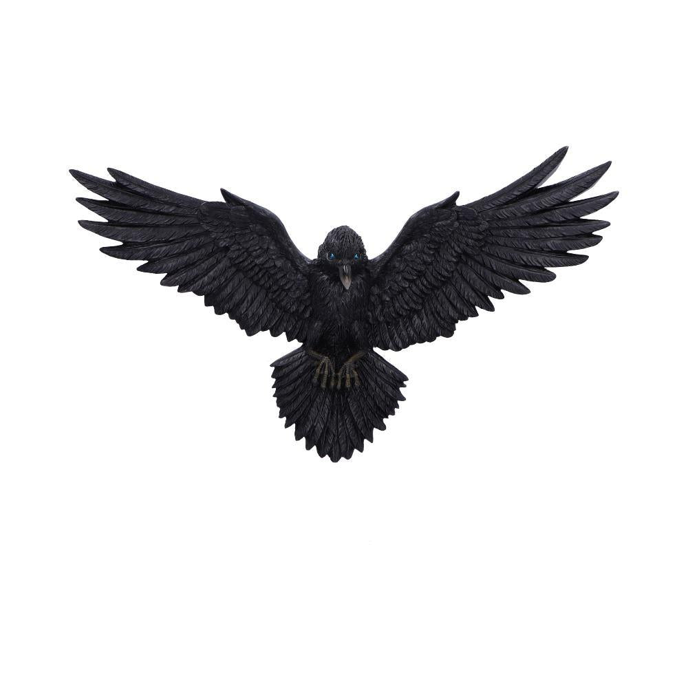 Mystical Black Raven Wall Ornament Decoration Fantasy Gothic Plaque  Art Decor