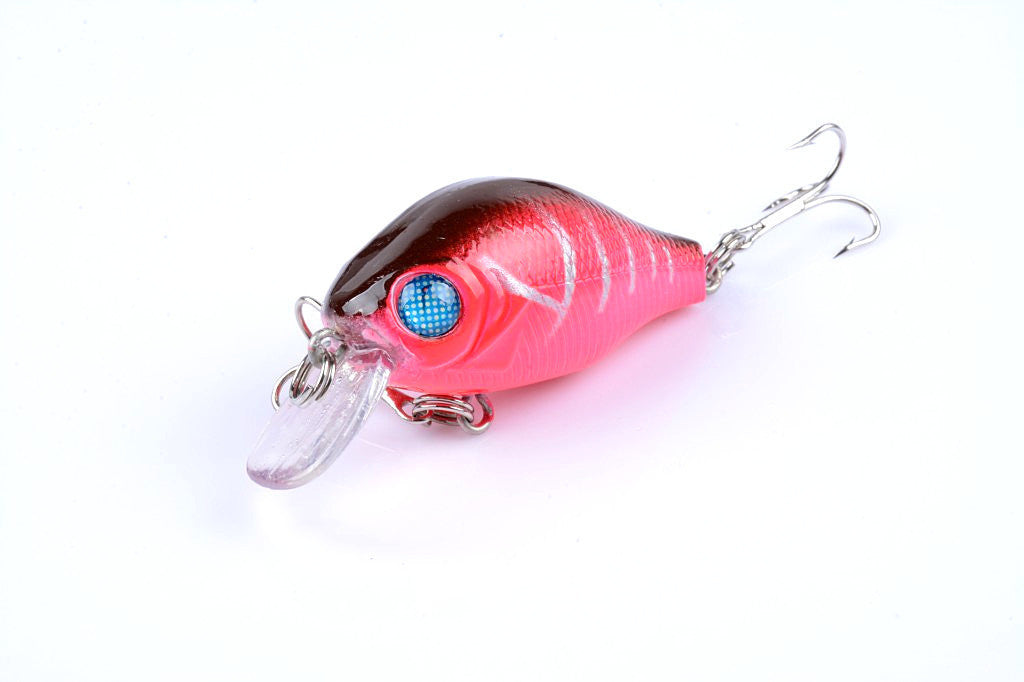 Bionic Fishing Bait Plastic Hard Bait