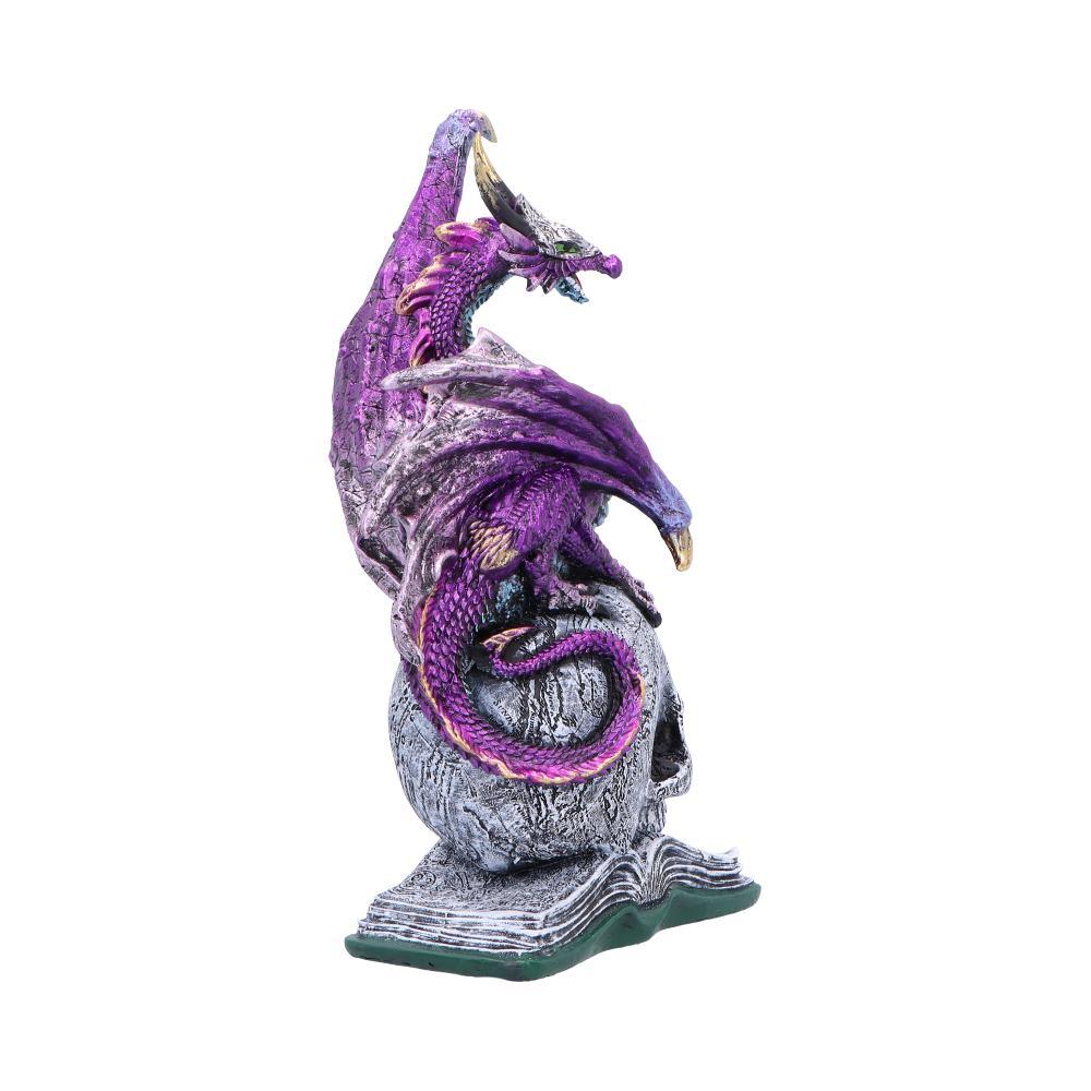 Mystical Dragon on Skull And Book Statue Gothic Decor Fantasy Figurine Ornament