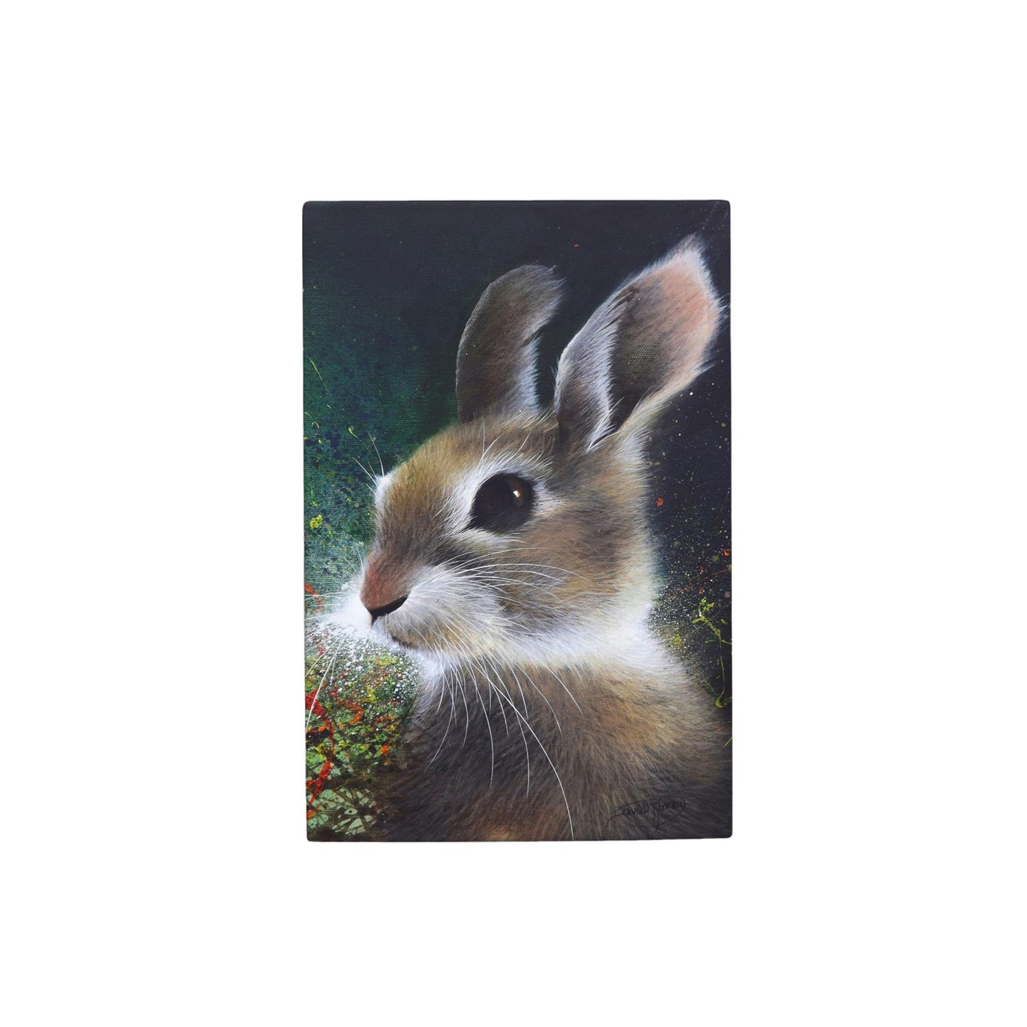 Bunny Ceramic Art Tile by D. Finney | 30x20cm | Wall Decor Ready to Hang