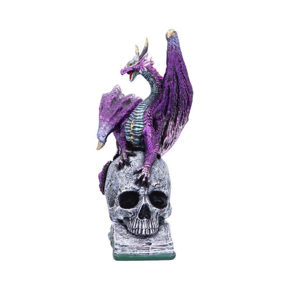 Mystical Dragon on Skull And Book Statue Gothic Decor Fantasy Figurine Ornament
