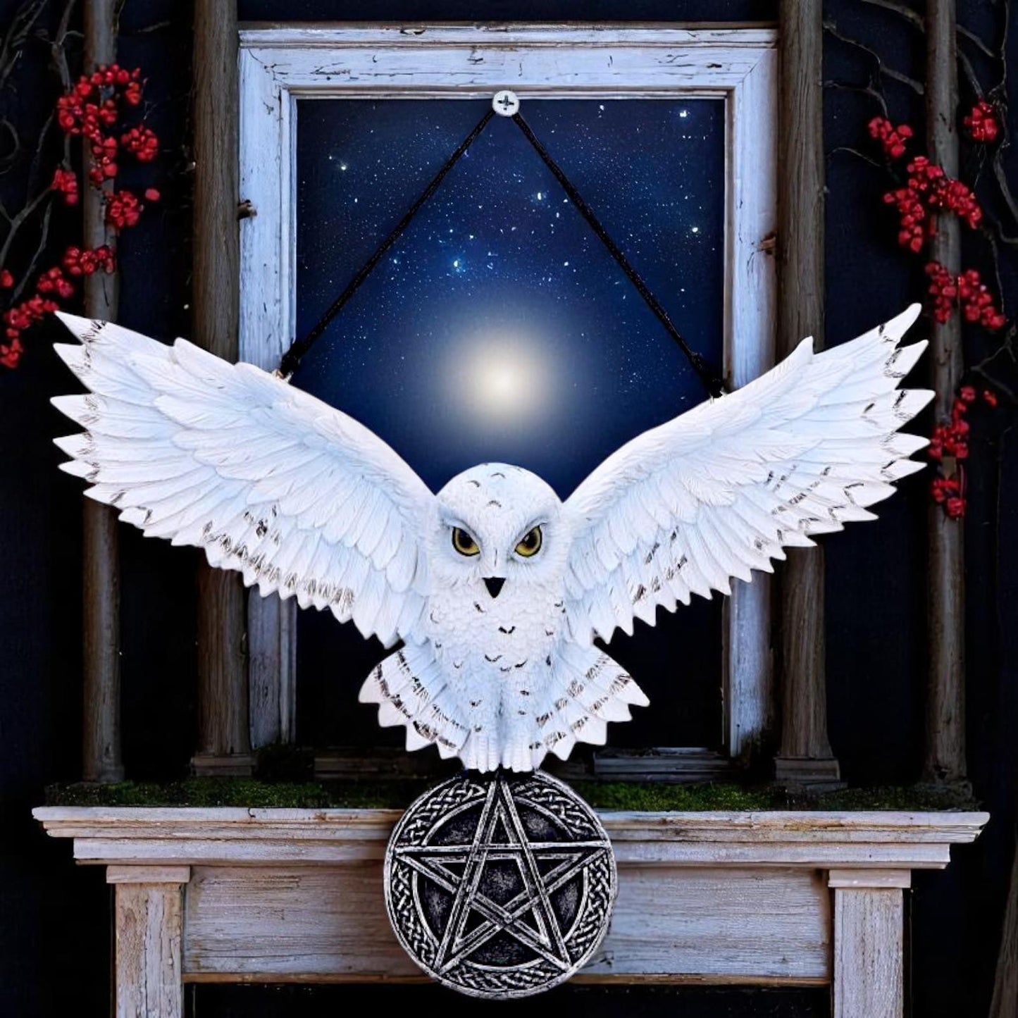 Mystical Snowy Owl Hanging Pagan Pentacle Talisman Wiccan Witchcraft Wall Art