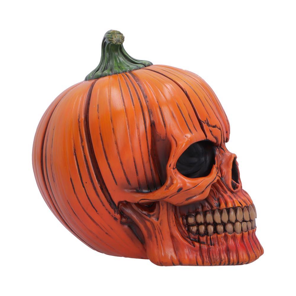 Pumpkin Head Skull Creepy Gothic Halloween Figurine Macabre Horror Decoration