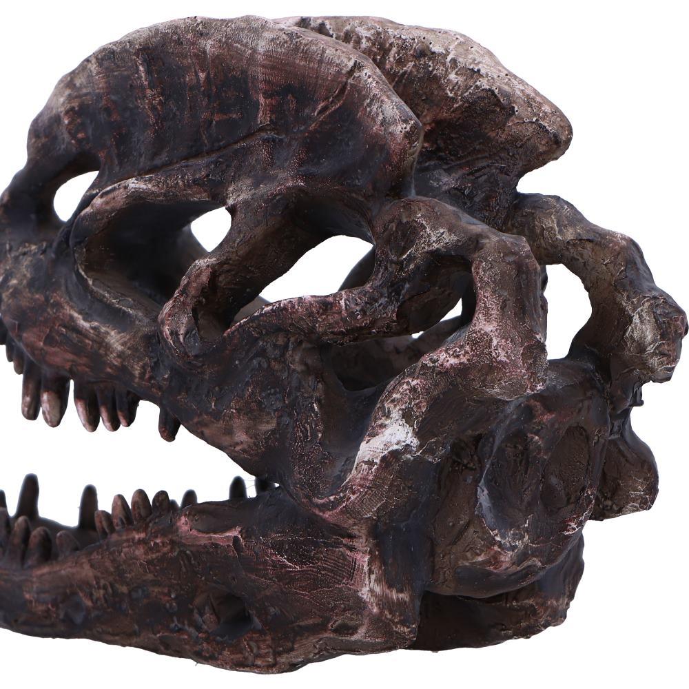 Dilophosaurus Dinosaur Skull Replica Realistic Resin Fossil Model Jurassic Fossil