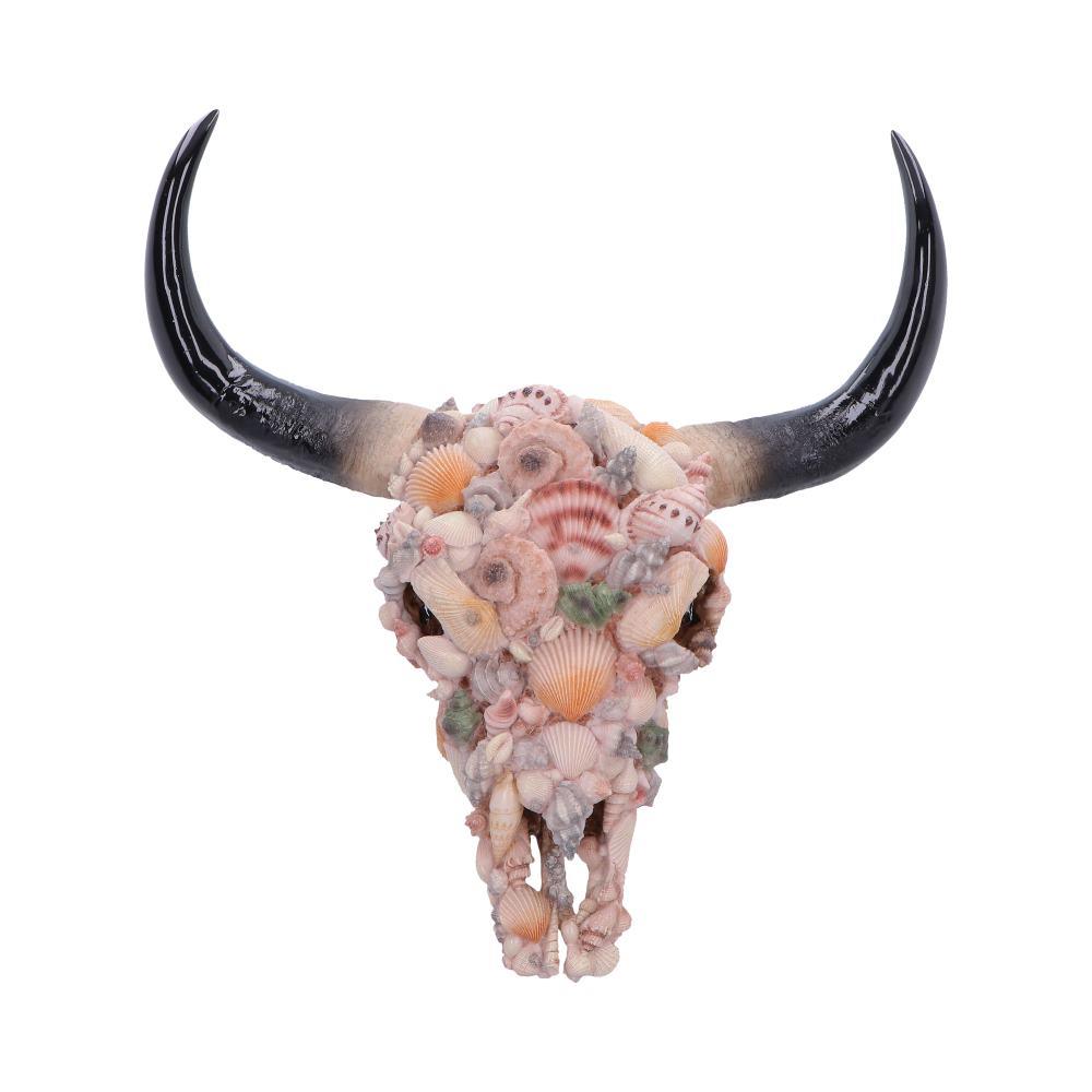 Seashell Bison Skull Ornament Coastal Gothic Decor Ocean Inspired Sculpture Art