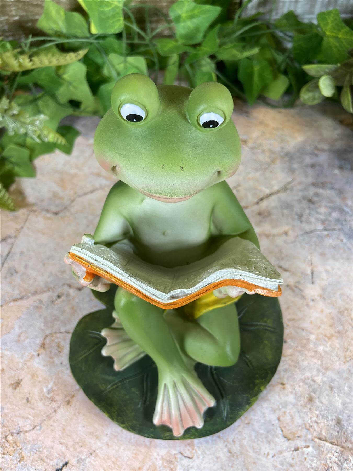 Hilarious Resin Frog Reading Book 15.5 cm Tall Garden Ornament Patio Decor-Osiris Craftworks