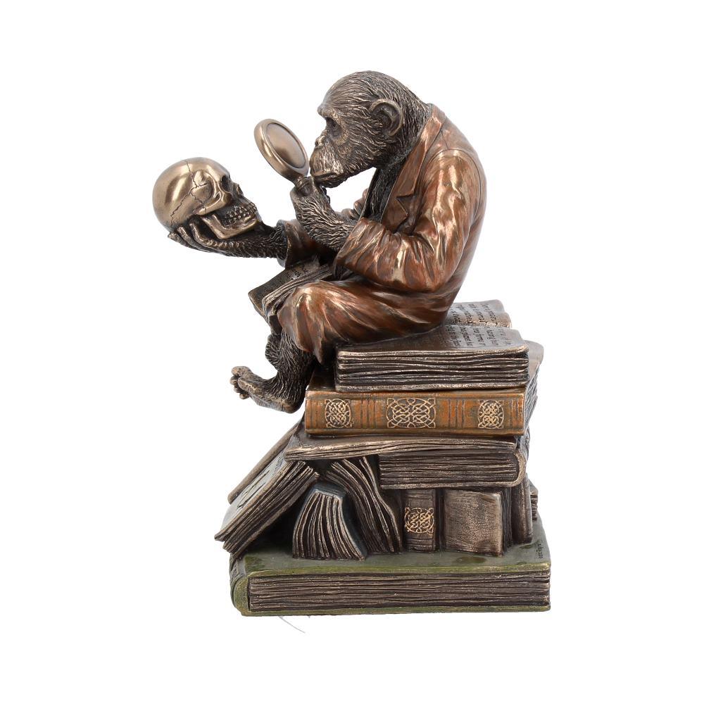 Evolution Theory Chimp Ornament Darwin Scholar Statue Bronze Scientific Display