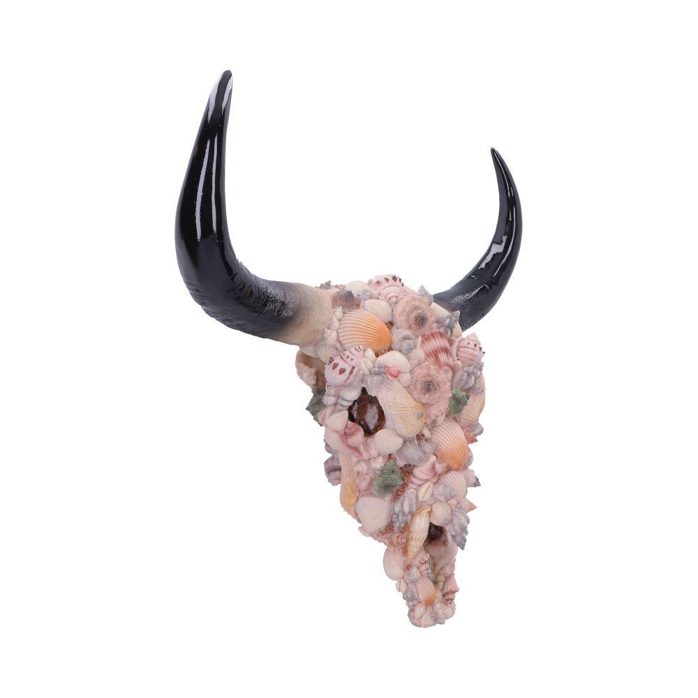 Seashell Bison Skull Ornament Coastal Gothic Decor Ocean Inspired Sculpture Art