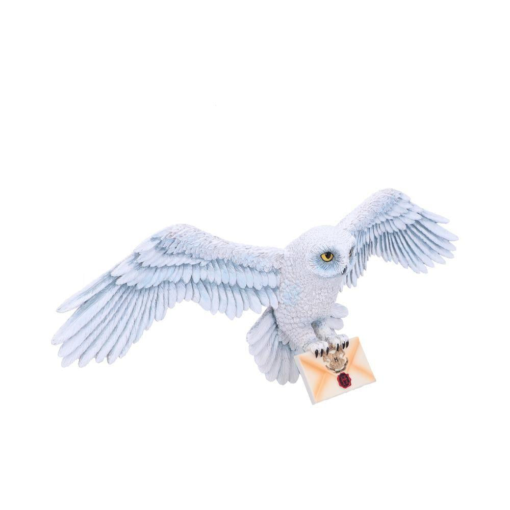 Harry Potter Hedwig Wall Plaque 45cm - Officially Licensed Wizarding World Collectible