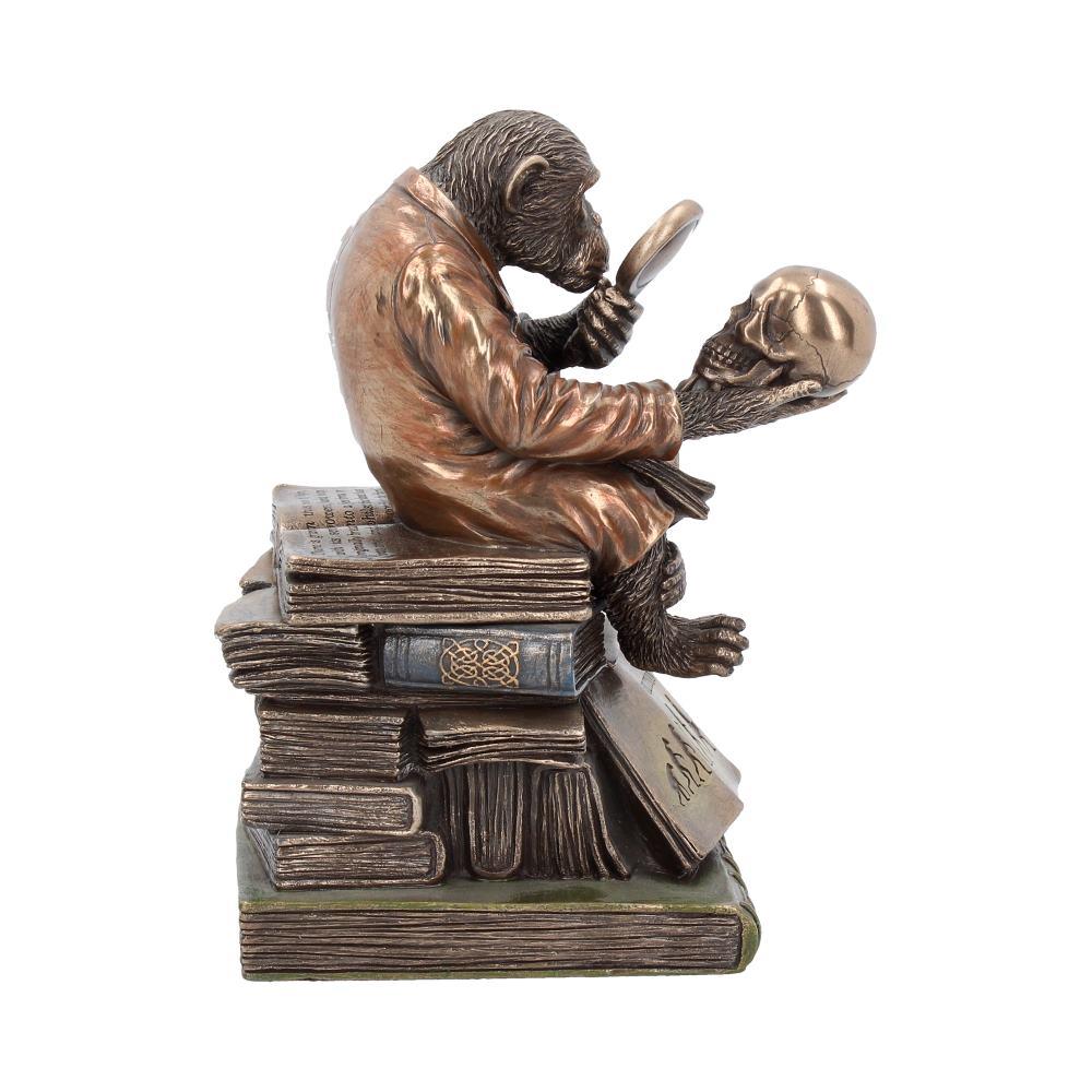 Evolution Theory Chimp Ornament Darwin Scholar Statue Bronze Scientific Display