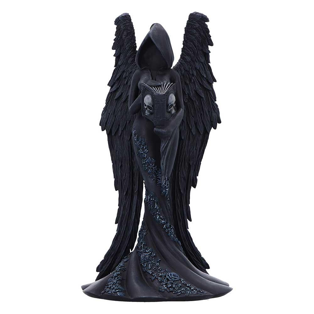 Femme Fatale Scholar Angel Statue Gothic Hooded Winged Book Skull Fantasy