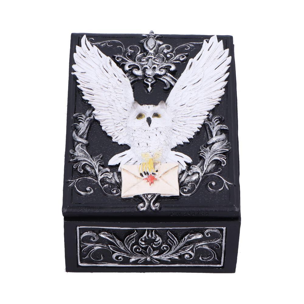 Gothic Owl Messenger Box Wiccan Witchcraft Storage Keepsake Fantasy Ornament