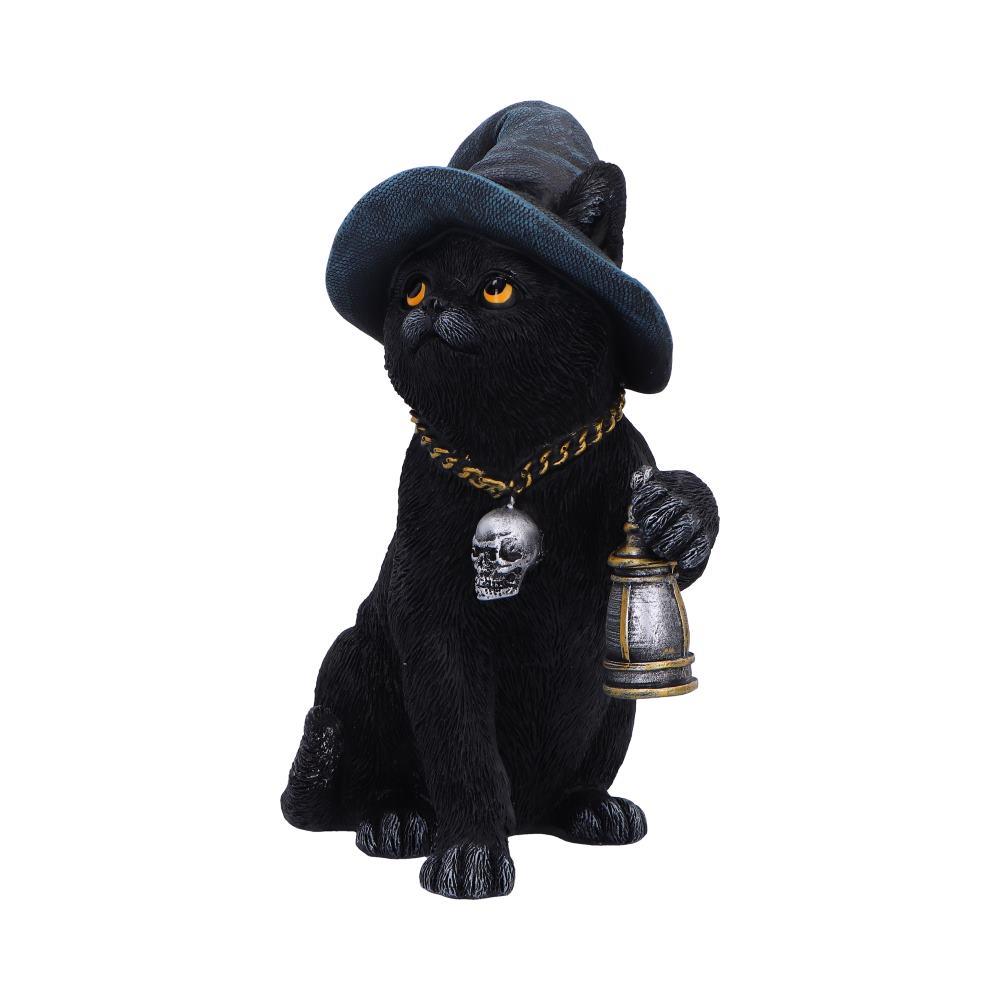Fantasy Witch Cat Figurine Gothic Cat Familiar Lantern & Skull Necklace Statue
