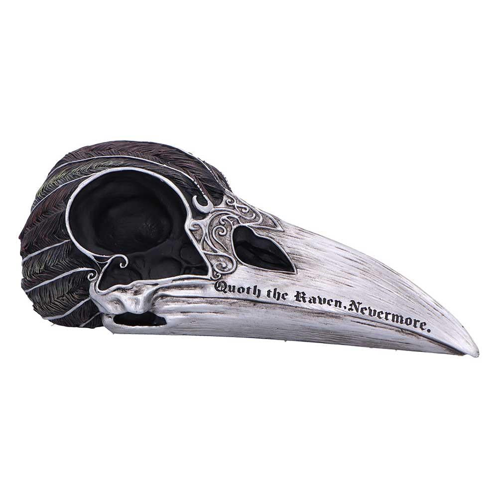Quoth The Raven Skull Figurine Ornament Sculpture Gothic Edgar Allan Poe Decor