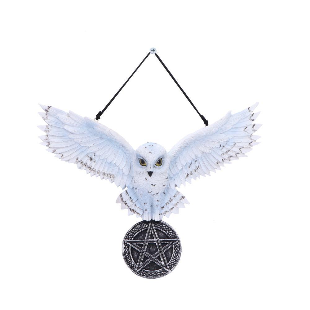 Mystical Snowy Owl Hanging Pagan Pentacle Talisman Wiccan Witchcraft Wall Art