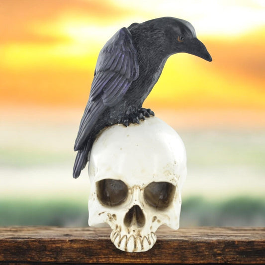 Resin Crow on Skull Figurine | Gothic & Occult Decor