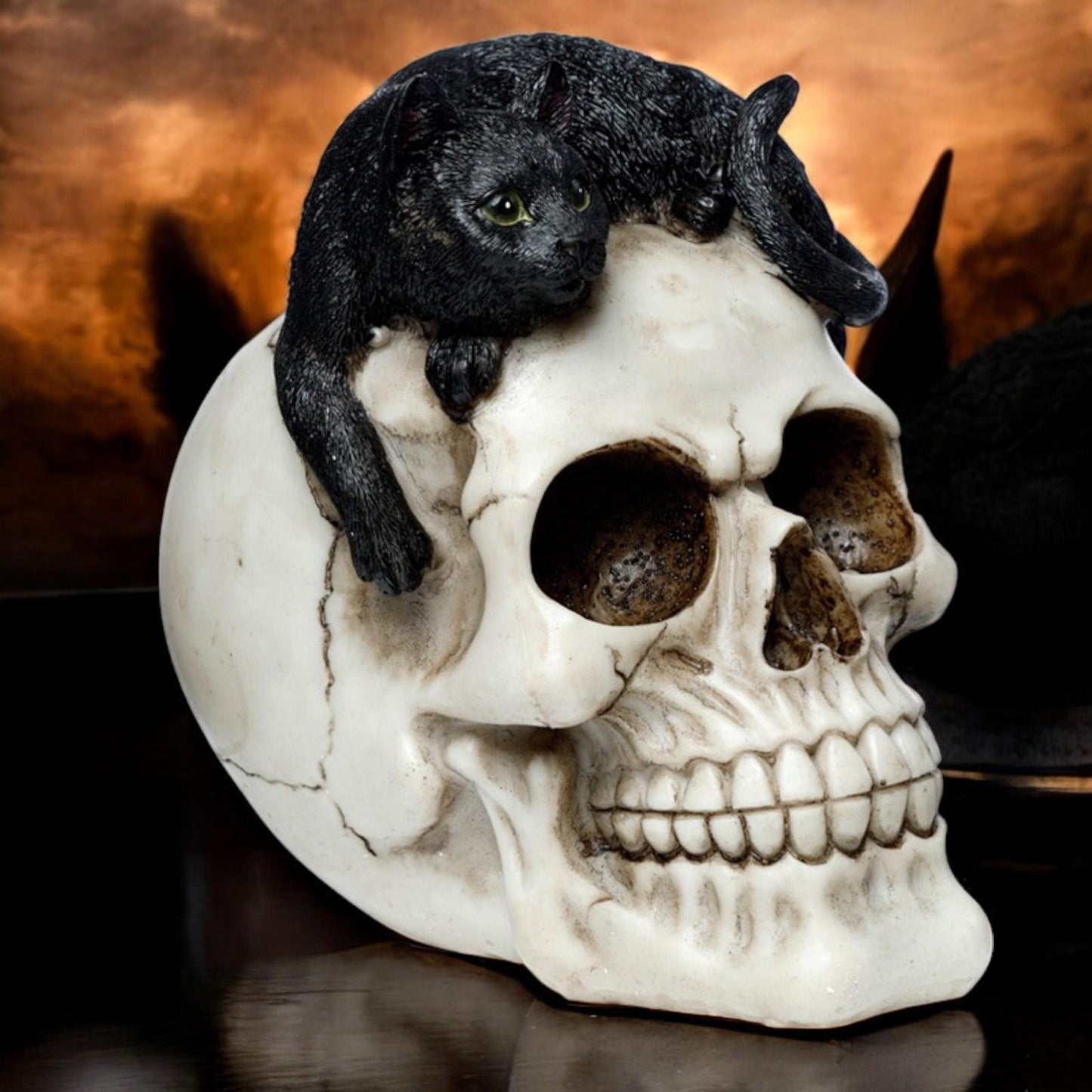 Witchcraft Black Cat on Skull Figurine Gothic Ornament Home Decor Resin Statue 14cm