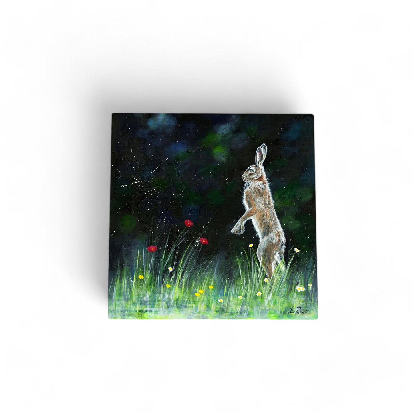 LONE DANCING HARE Ceramic Art Tile by Pankhurst Gallery 20x20 cm Ready to Hang Home Decor