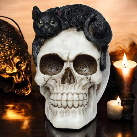 Witchcraft Black Cat on Skull Figurine Gothic Ornament Home Decor Resin Statue 14cm